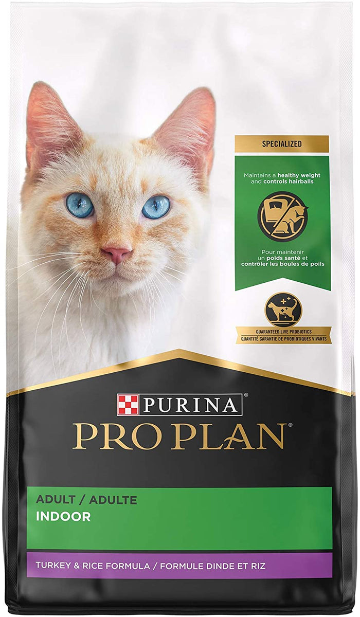 Pro plan 2025 british shorthair